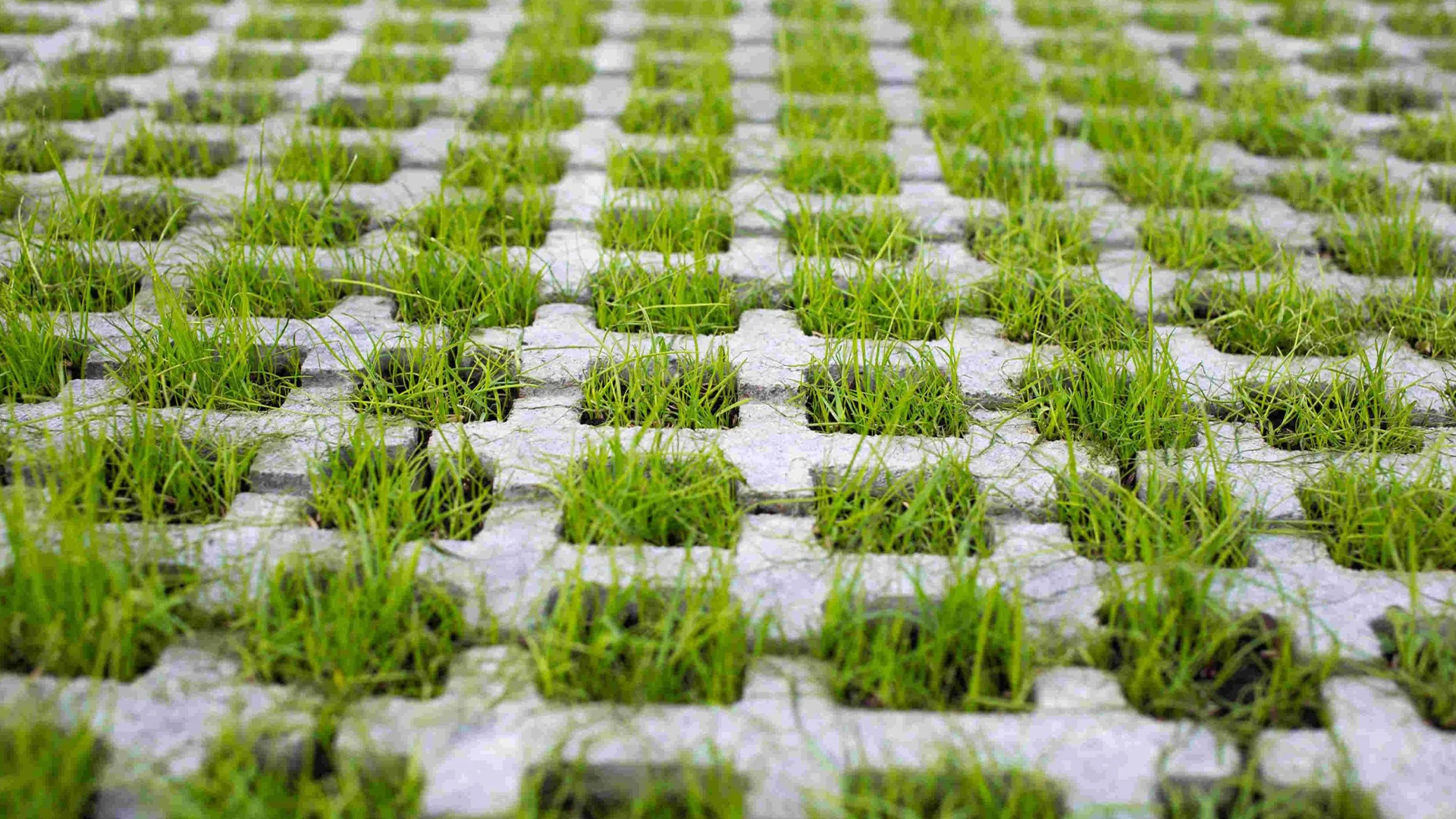 Explore our All Products