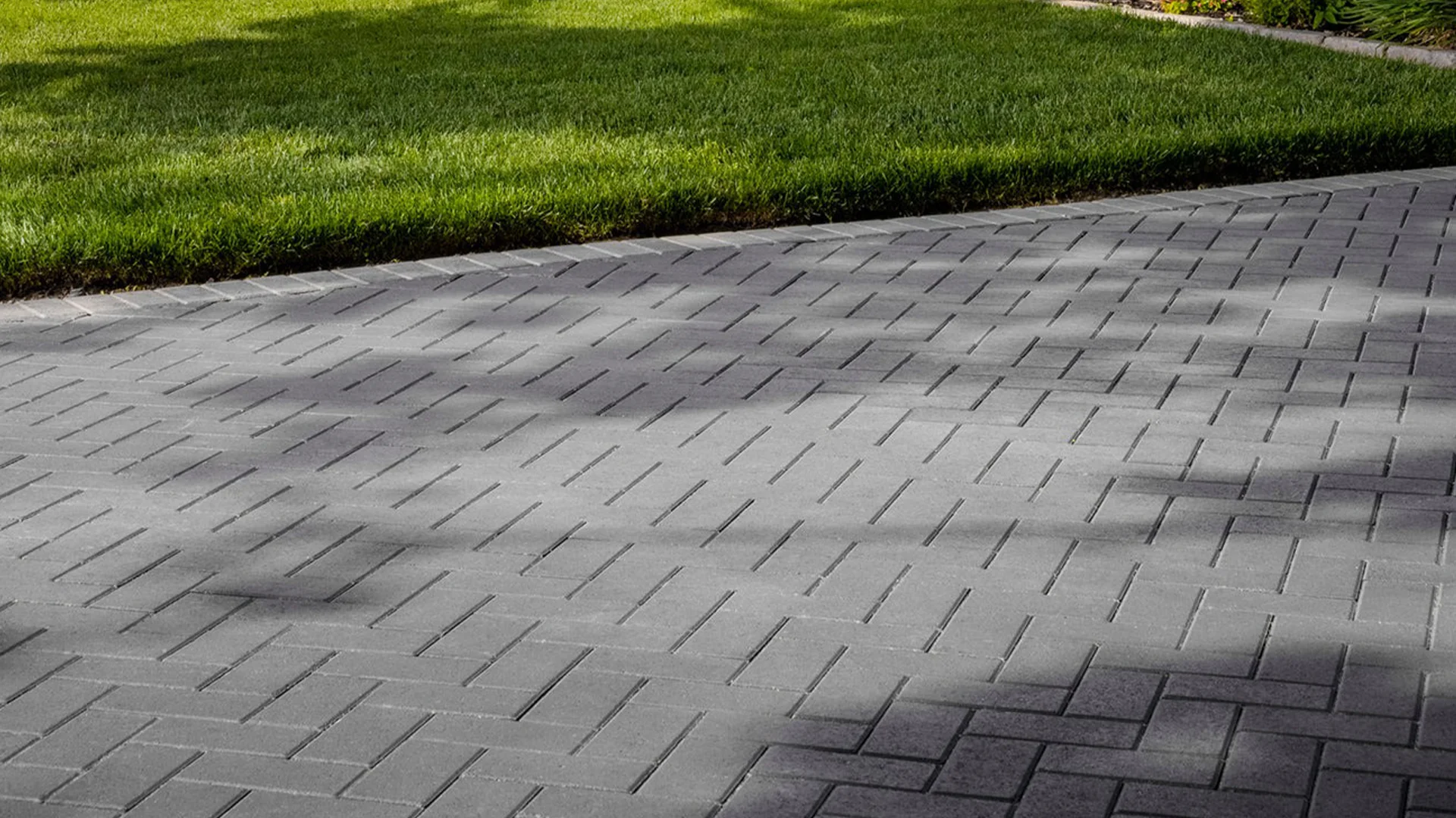 Transparency & Cost Effectiveness